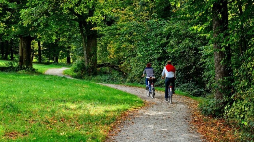 Natječaj za uređenje šumske infrastrukture