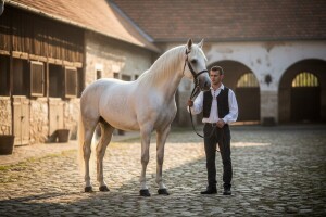 Natječaj za ravnatelja Hrvatskog centra za konjogojstvo