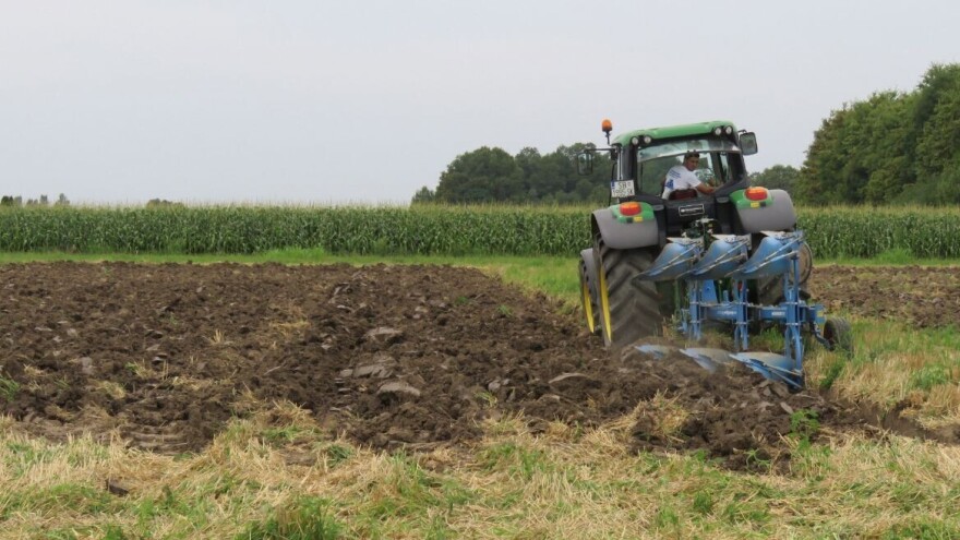Tri brata, tri pehara - braća Karavidović briljirala u kategoriji oranja plugovima premetnjacima