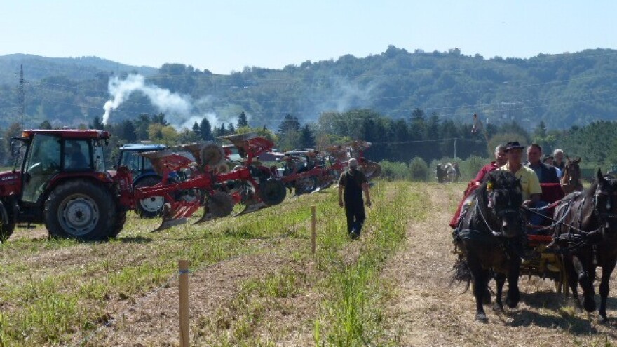 Natjecanje u oranju Požeško-slavonske županije