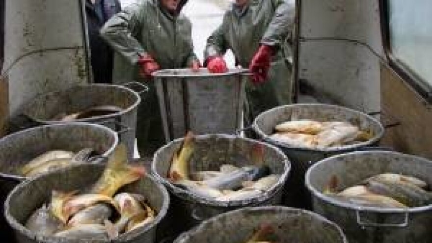 Stimulira se ekstenzivna proizvodnja