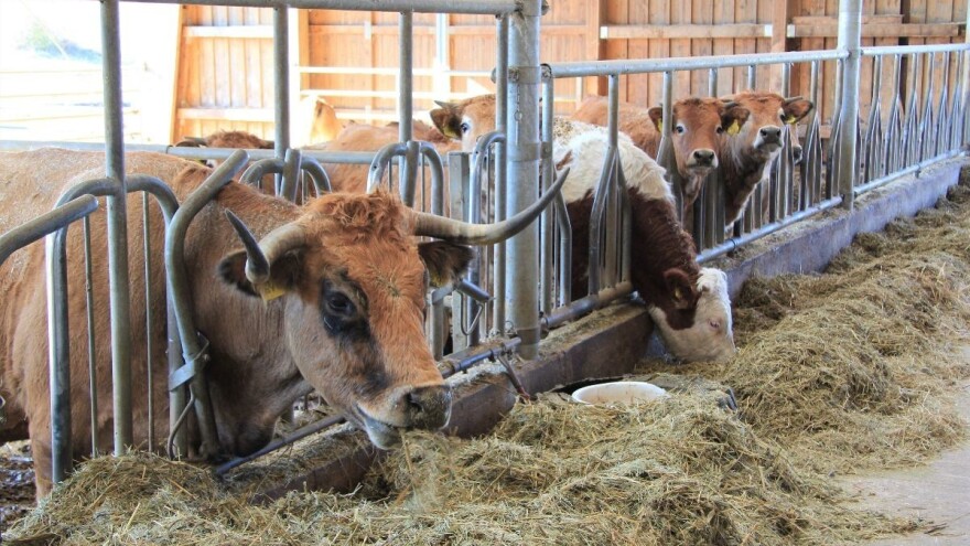 Sutra počinje redovno istraživanje farmi u BiH
