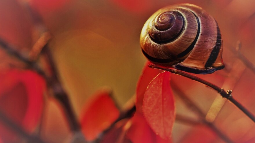 Ima li kraja jeseni usred ljeta?