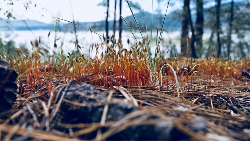 Gdje ide poljoprivreda i kako proizvodnju hrane učiniti održivom?