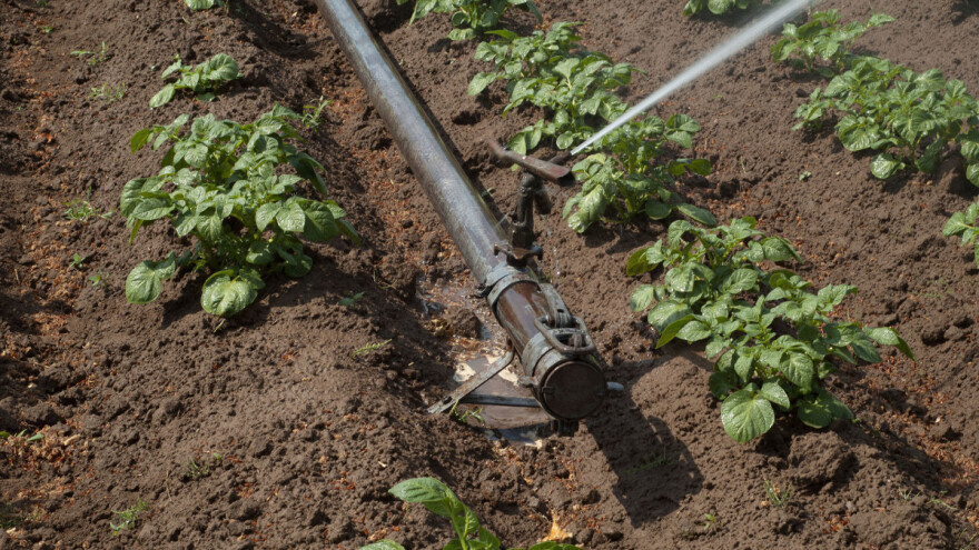 Baštica će navodnjavati 158 ha u vlasništvu 43 poljoprivredna gospodarstva