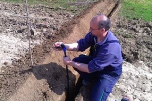 Navodnjavanje i fertirigacija plantažnih nasada