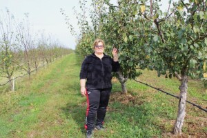 Unatoč nepovoljnoj godini, u šljiviku OPG Sabo izmjereno čak 24 brixa
