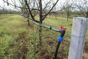 Voćari u Velikoj Ludini više od desetljeća čekaju sustav javnog navodnjavanja, gdje je zapelo?