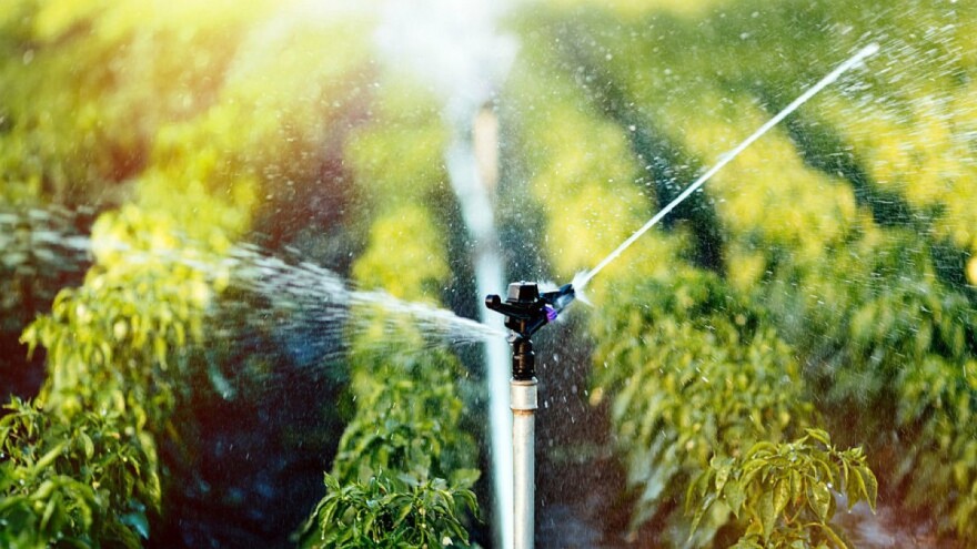 Najjednostavnije rješenje u navodnjavanju - rad apsolvenata Poljoprivrednog fakulteta