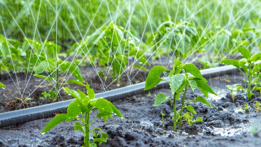 Prehrambeni otpad pretvaraju u jeftina i učinkovita gnojiva