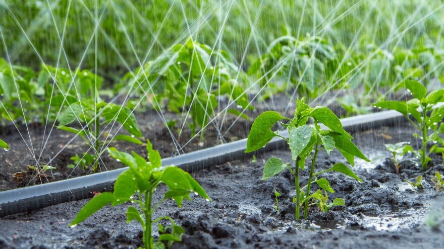 Poboljšajte pH vode za navodnjavanje s kiselim gnojivima
