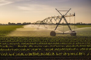Navodnjavanje najbrže vraća novac uložen u poljoprivredu