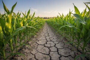 Navodnjavanje pod zemljom direktno u korijen