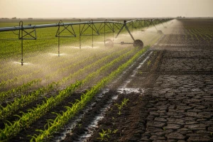 Navodnjavanje - više od agrotehničke mjere