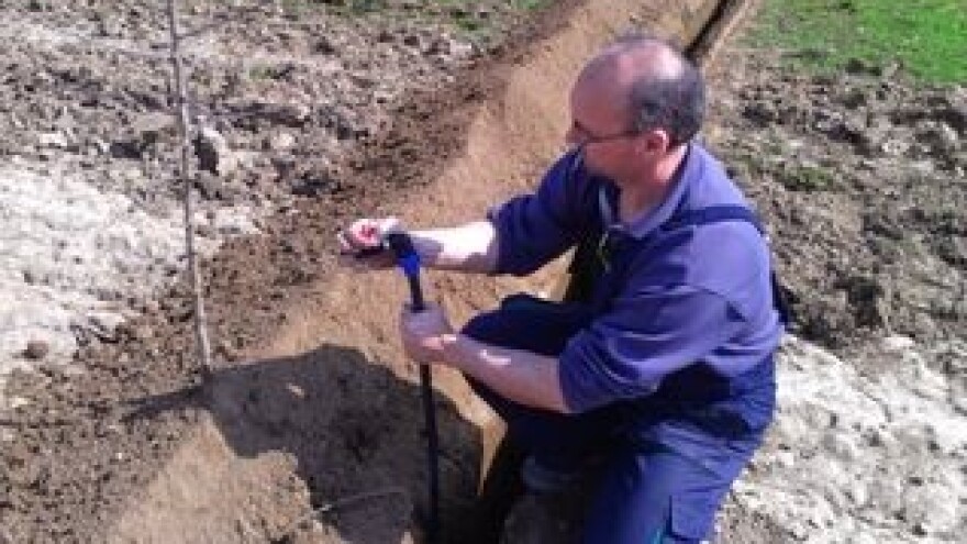 Navodnjavanje i fertirigacija plantažnih nasada