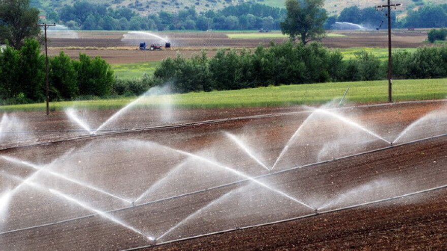 Navodnjavano zemljište u Srbiji skuplje se cijeni