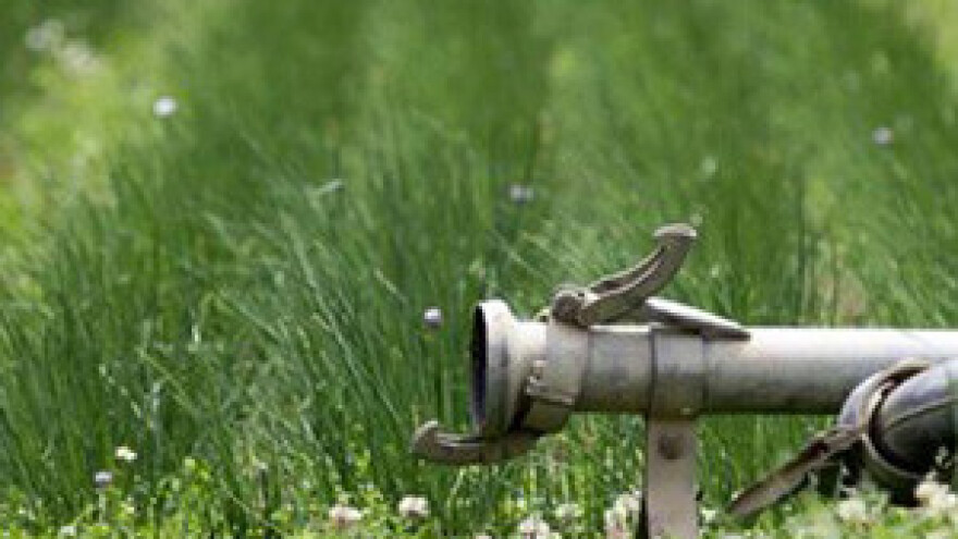 Jakovina: Suša se može pobjediti samo kvalitetnim sustavom navodnjavanja