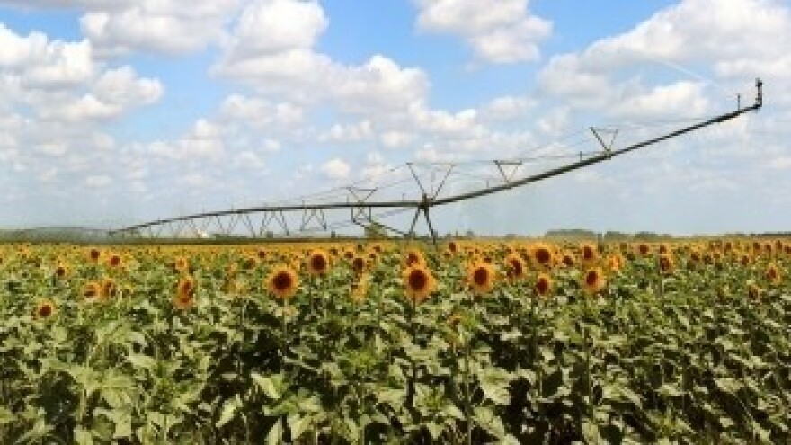 Makedonija ulaže u navodnjavanje!