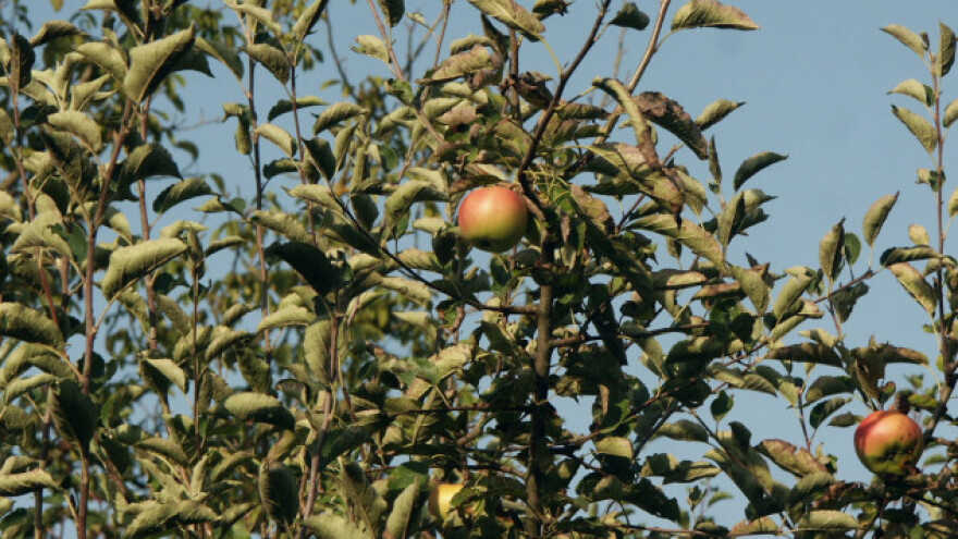 U Potkozarju novih 26 km cjevovoda za navodnjavanje?