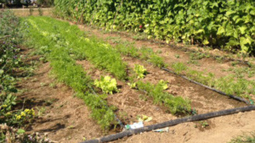 7 poljoprivrednika u sustavu navodnjavanja od 26 mil. kuna u Međimurju