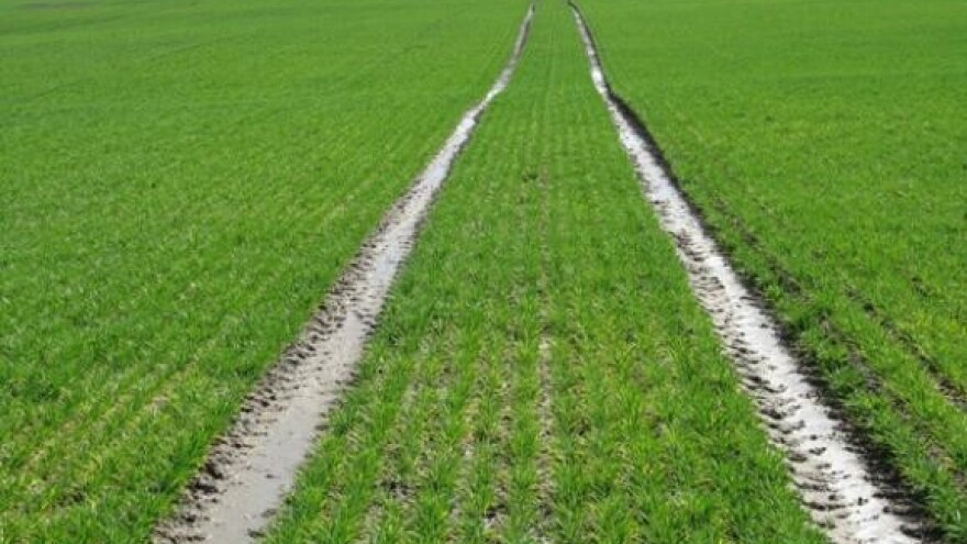 Navodnjavanjem do većih prinosa