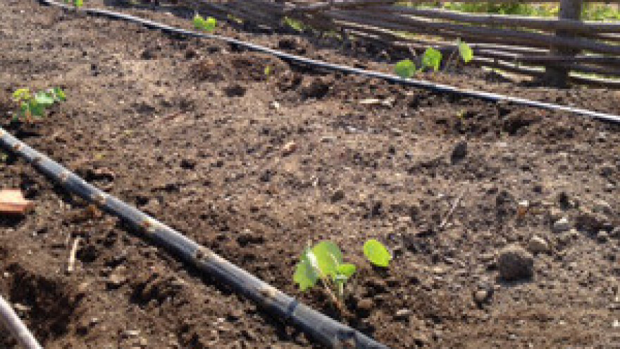 Navodnjavanje skupo i nedovoljno efikasno