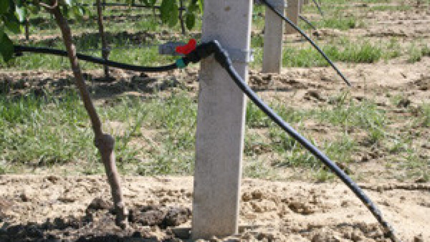 Josipović: Moramo ulagati u navodnjavanje, inače ćemo svi imati problema