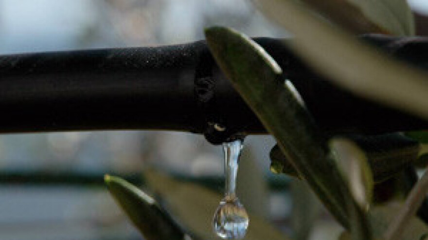 Navodnjavanje - više od agrotehničke mjere