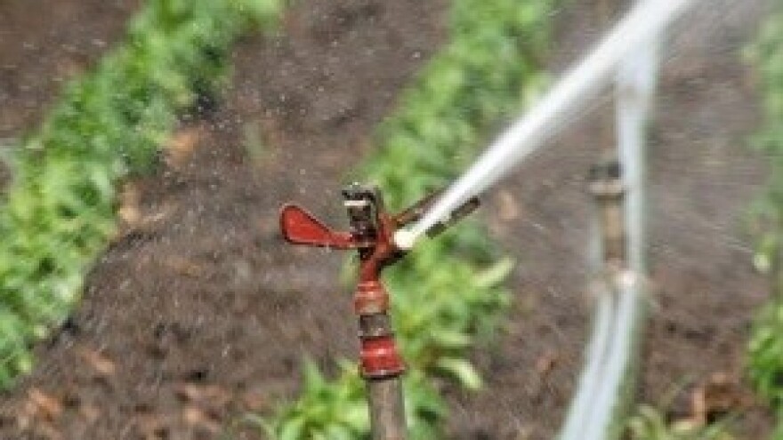 Prvi istarski mikrosustav za navodnjavanje