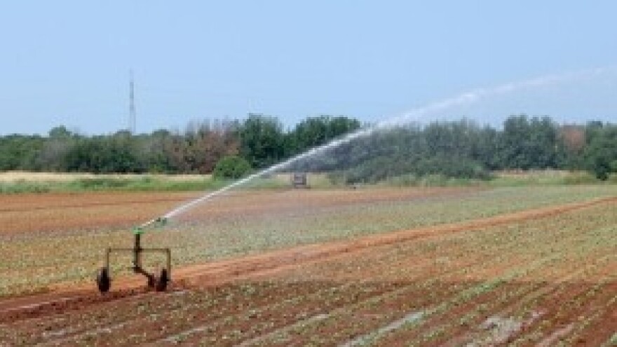 Bez navodnjavanja nema proizvodnje