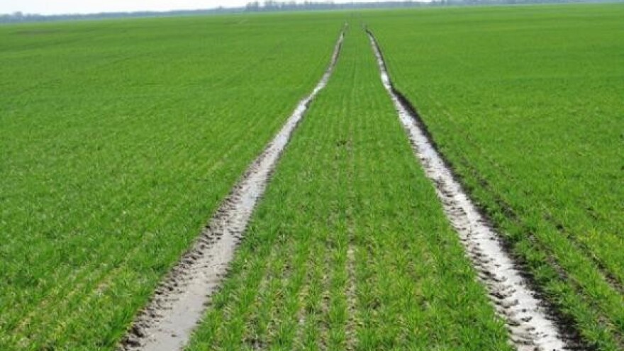 Navodnjavanjem do smanjenja uvoza hrane