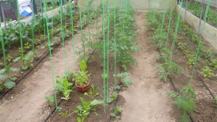 Termoplast, proizvodnja cijevi za navodnjavanje