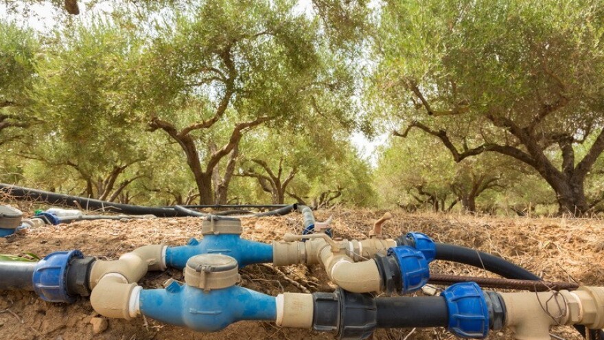 Dronovi lete - koliko maslini treba vode i gnojiva?