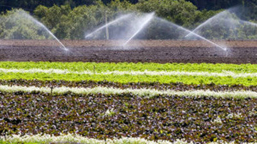 Navodnjavanje prioritetni projekt