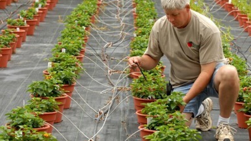 U Baranji će se navodnjavati 5 tisuća hektara!