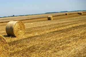 U Vinkovcima projekt navodnjavanja