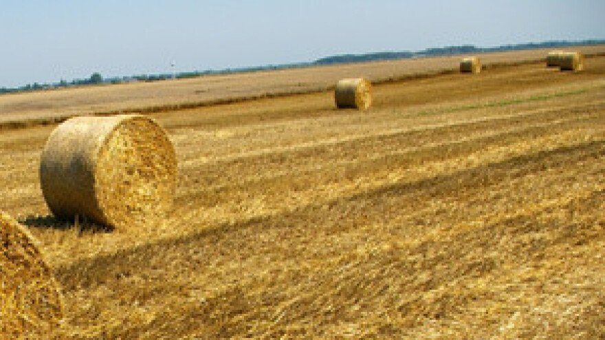 U Vinkovcima projekt navodnjavanja