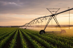 Navodnjavano zemljište u Srbiji skuplje se cijeni
