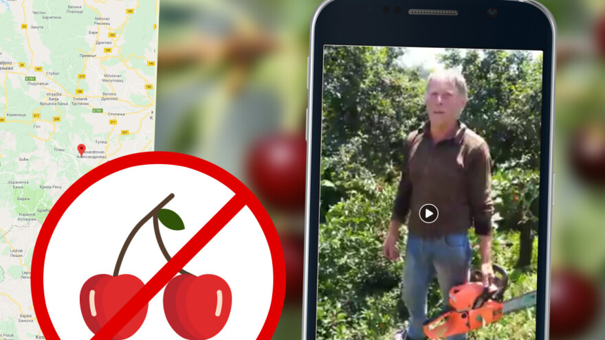 Motornom testerom posekao voćnjak, pa održao govor: Seljak je zgažen i ugrožen