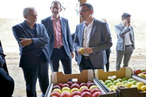 Bez prerađivačkih pogona nema razvoja voćarstva