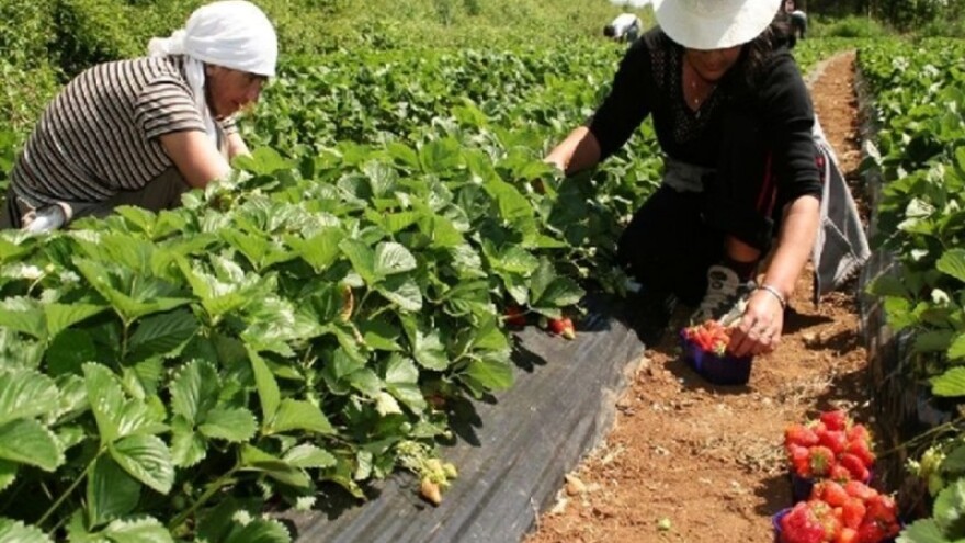 Široka paleta sredstava za eko uzgoj bilja!