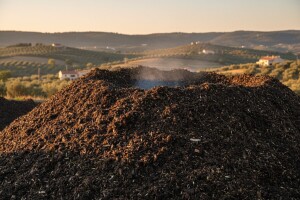 Neiskorišteno 6.000 tona komine masline