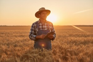 Neka Vam je u 2016. dobar urod - ali i cijena ;)