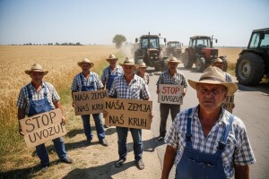 Neki na Zrću, a mi u grču!