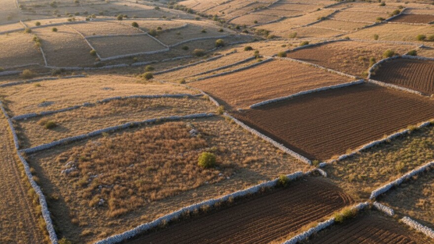 Nekorištenje zemljišnih parcela