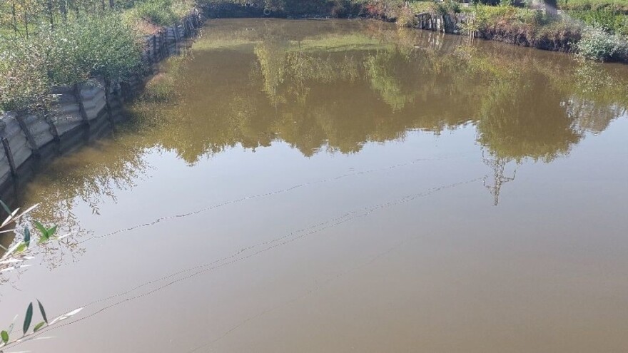 Gradnja akumulacija kao rešenje za sušu - isplativa investicija?