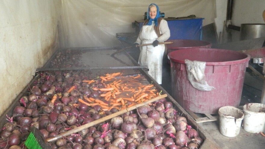 Uzgoj povrća u Centralnoj Srbiji u padu jer nema radne snage