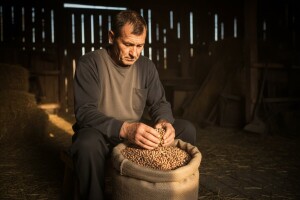 Nema više hrvatskog graha