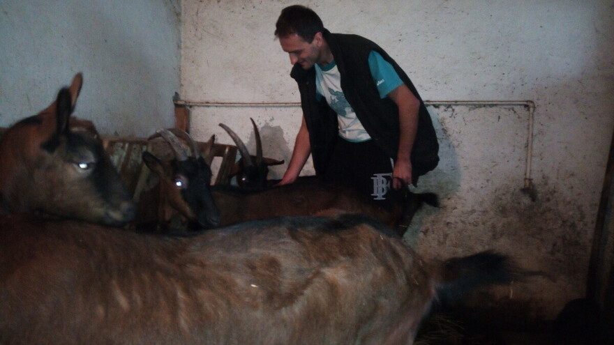 Nemanja Trifunović - istoričar Narodnog muzeja i poljoprivrednik koji gaji koze