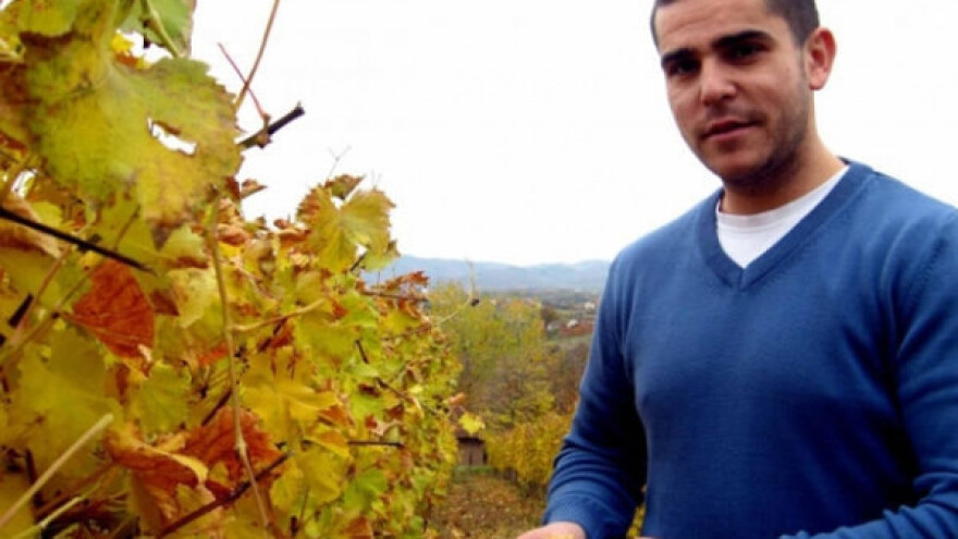 Mladi vinogradar odlučio da ostane na selu i uspe